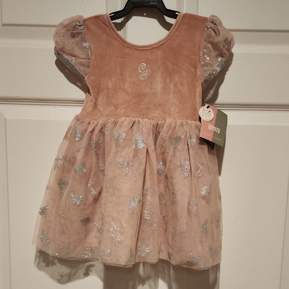 Pink Velvet Dress with Silver Accents